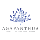 Agapanthus