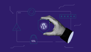 Build Secure WordPress hire infotyke