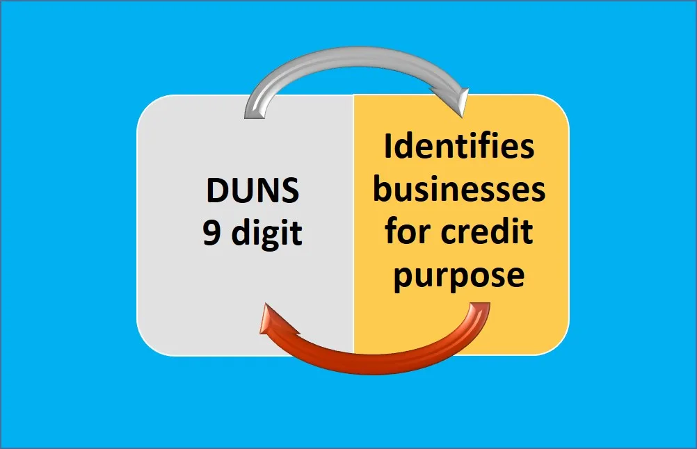 The DUNS Number Registration Process in India